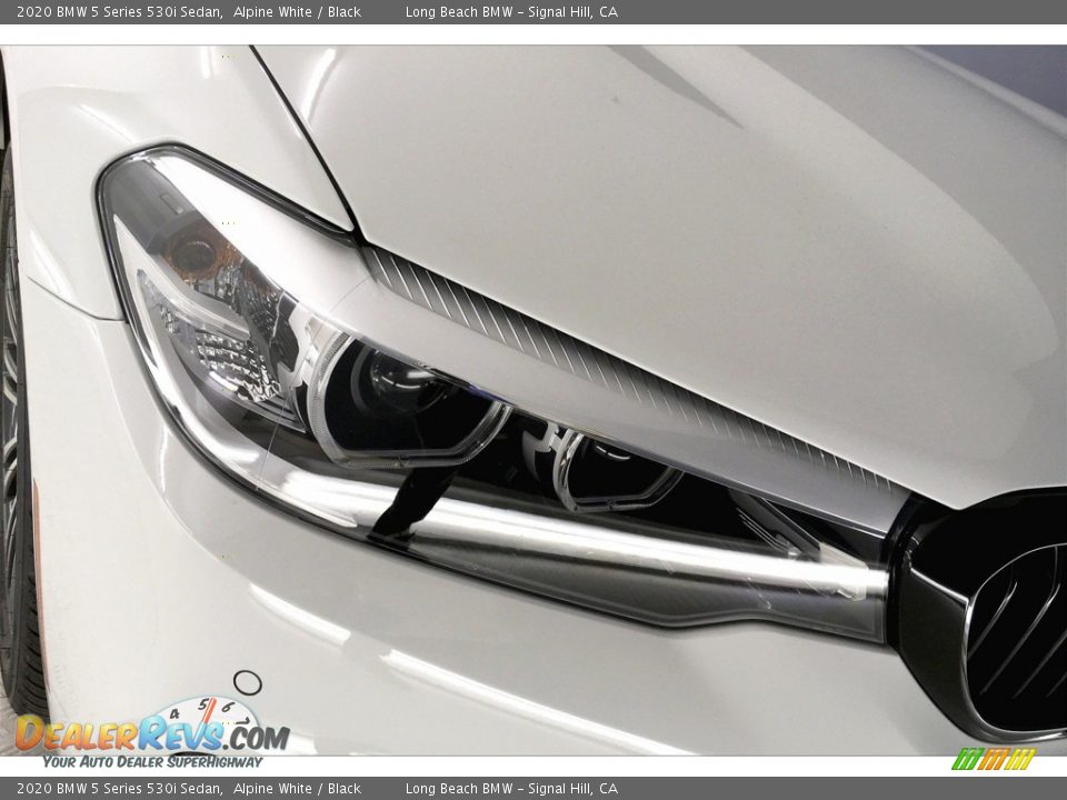 2020 BMW 5 Series 530i Sedan Alpine White / Black Photo #30