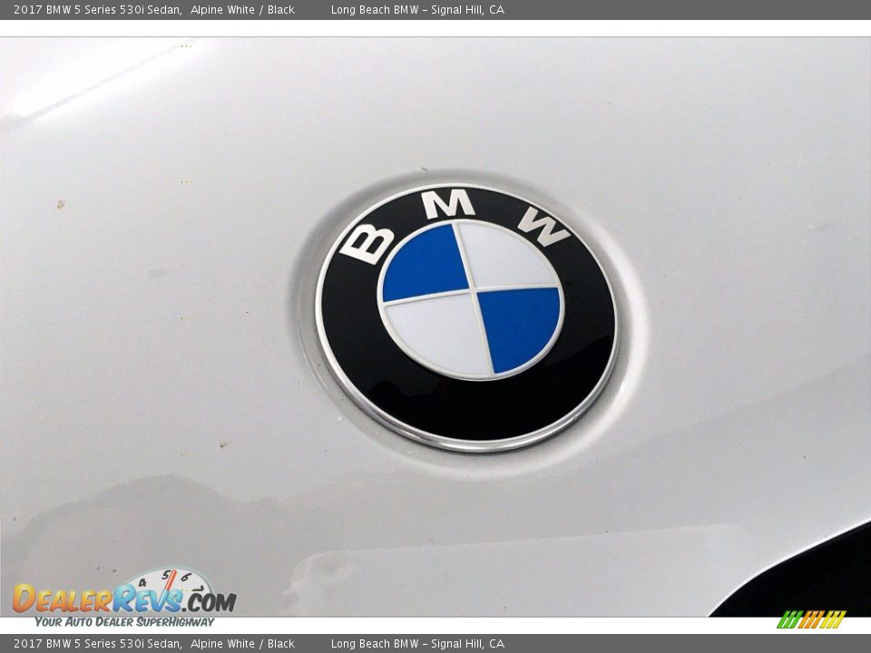 2017 BMW 5 Series 530i Sedan Alpine White / Black Photo #33