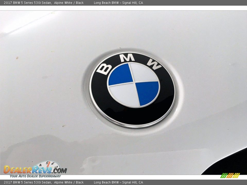 2017 BMW 5 Series 530i Sedan Alpine White / Black Photo #33