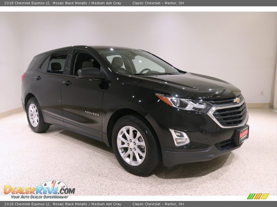 2018 Chevrolet Equinox LS Mosaic Black Metallic / Medium Ash Gray Photo #1