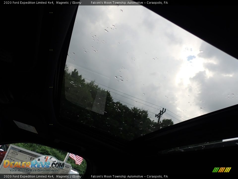 2020 Ford Expedition Limited 4x4 Magnetic / Ebony Photo #14