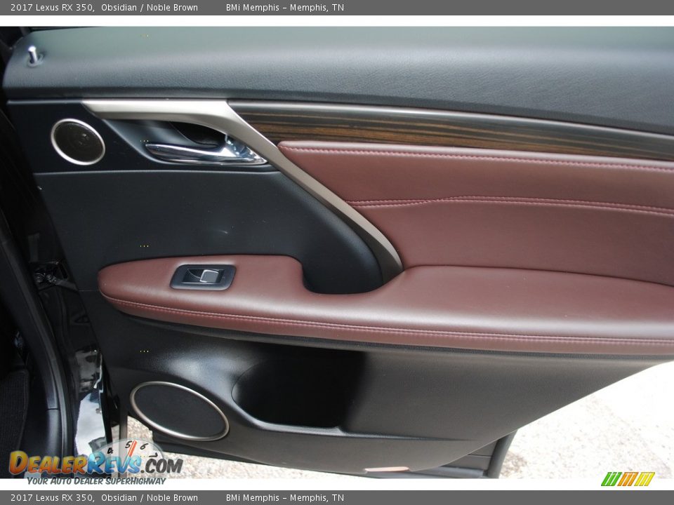 Door Panel of 2017 Lexus RX 350 Photo #31