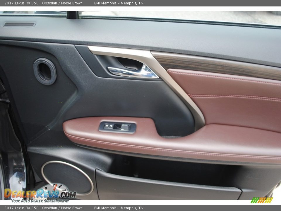 Door Panel of 2017 Lexus RX 350 Photo #33