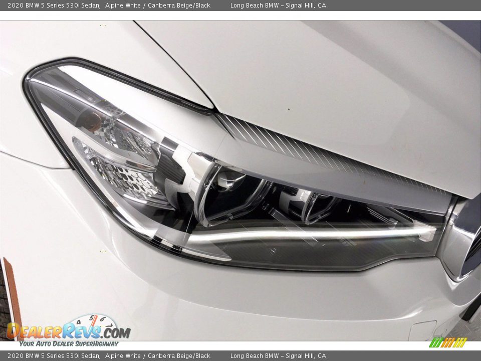 2020 BMW 5 Series 530i Sedan Alpine White / Canberra Beige/Black Photo #14