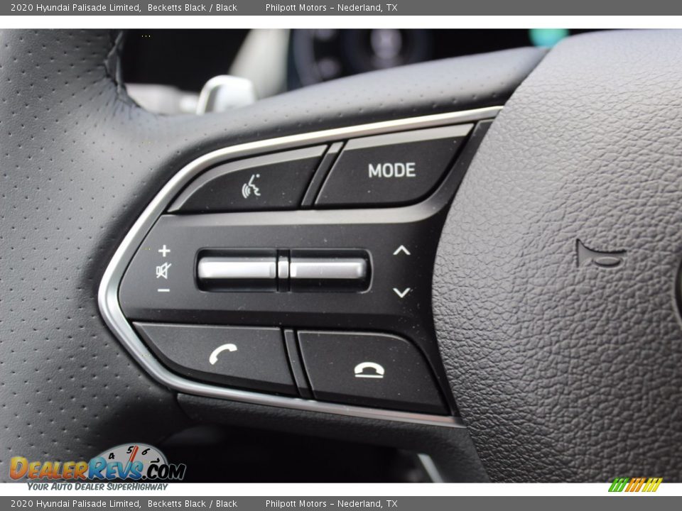 2020 Hyundai Palisade Limited Becketts Black / Black Photo #11