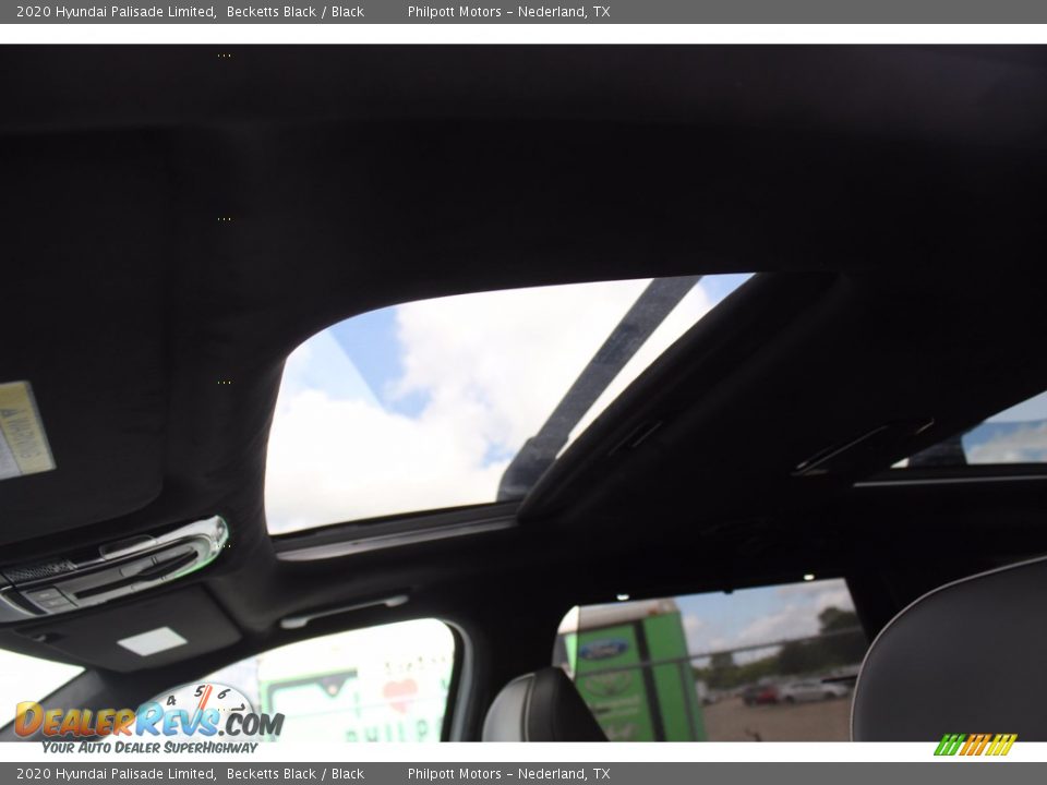 2020 Hyundai Palisade Limited Becketts Black / Black Photo #18