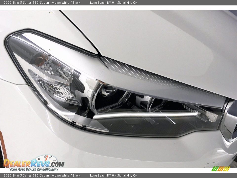 2020 BMW 5 Series 530i Sedan Alpine White / Black Photo #14