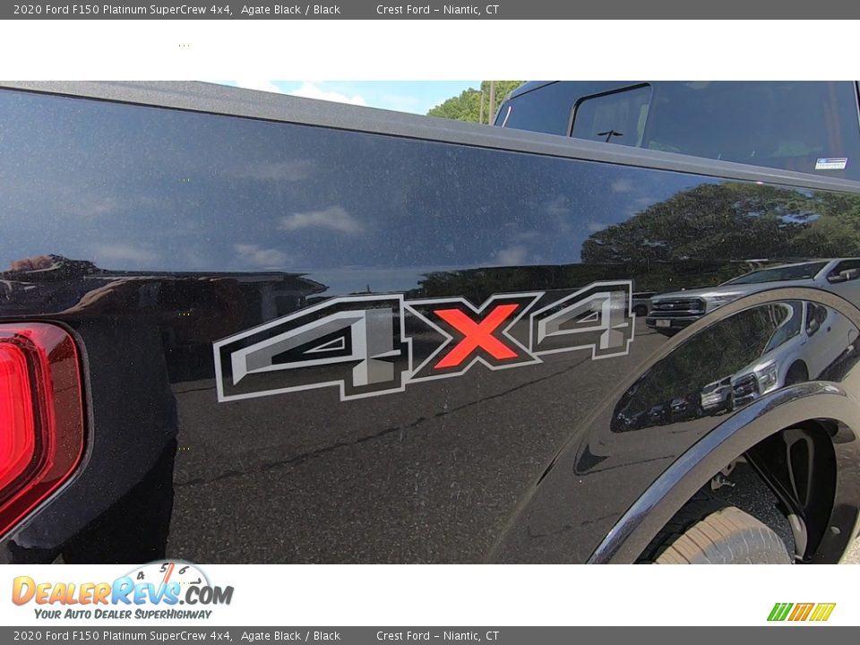 2020 Ford F150 Platinum SuperCrew 4x4 Agate Black / Black Photo #9
