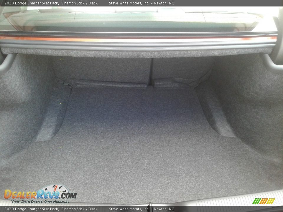 2020 Dodge Charger Scat Pack Sinamon Stick / Black Photo #14