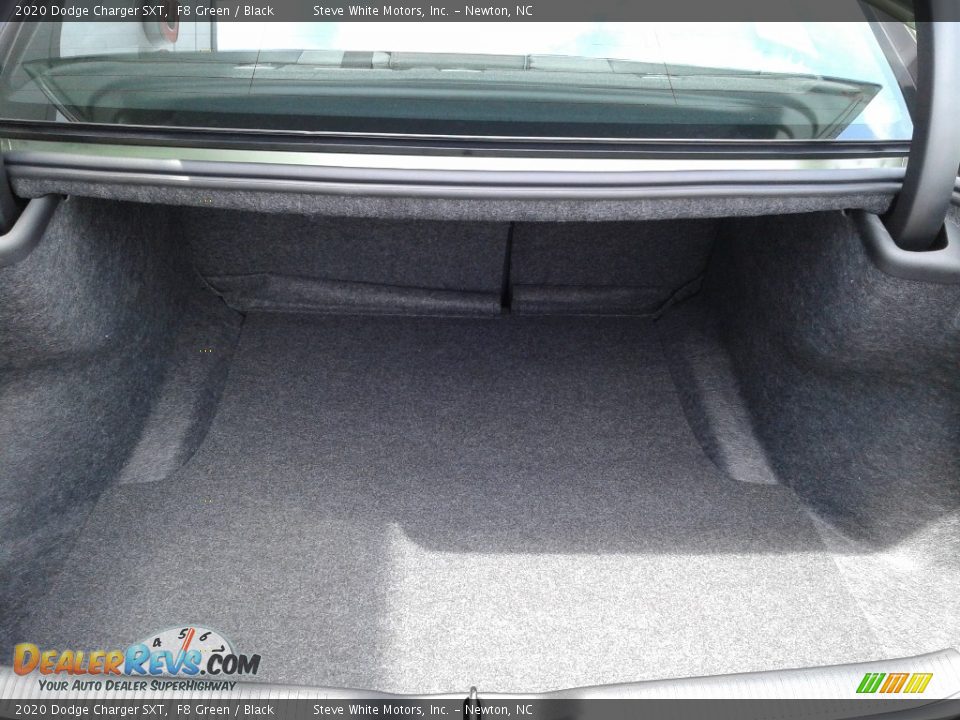 2020 Dodge Charger SXT F8 Green / Black Photo #15