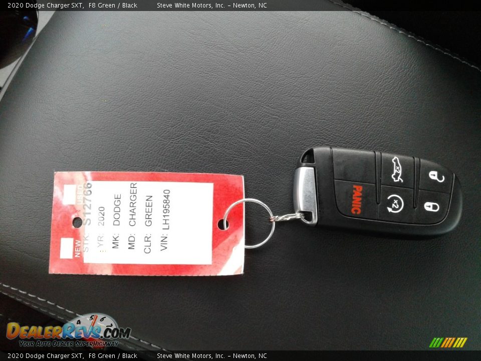 2020 Dodge Charger SXT F8 Green / Black Photo #28