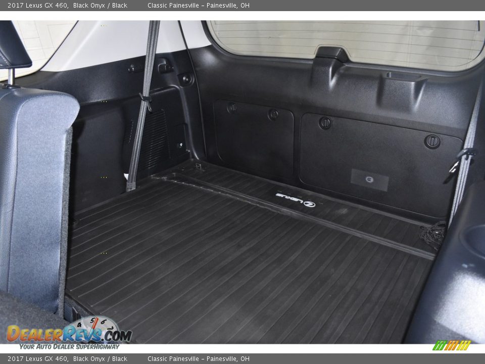 2017 Lexus GX 460 Black Onyx / Black Photo #11