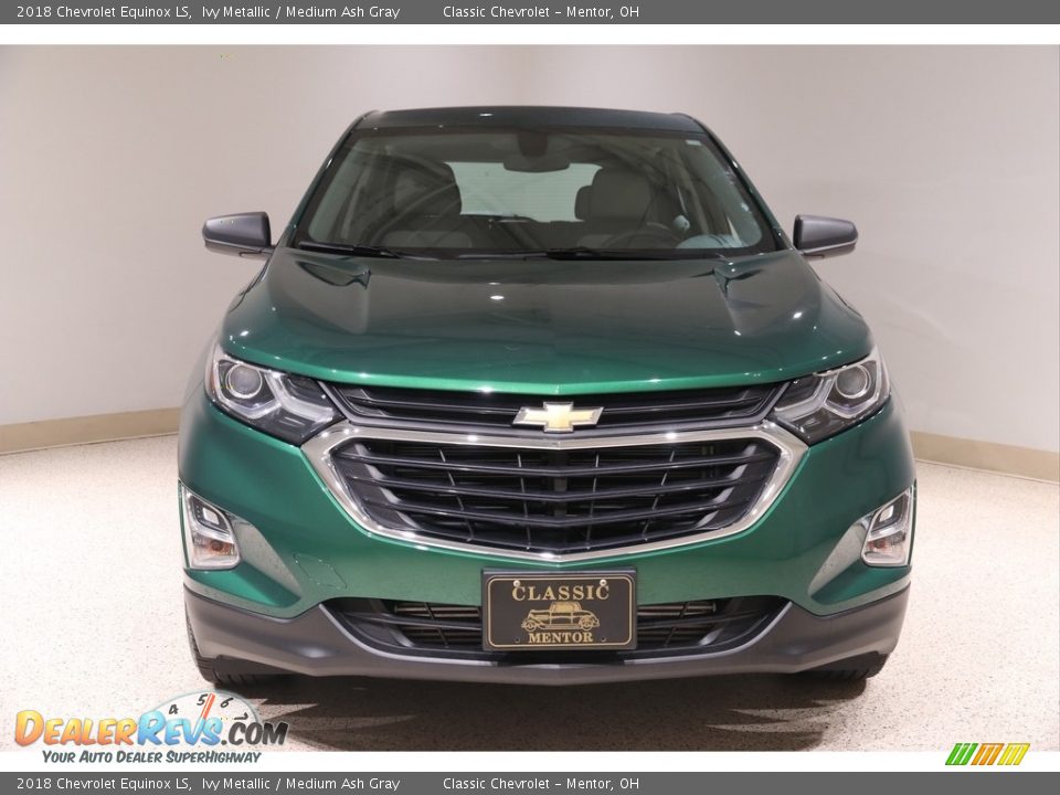 2018 Chevrolet Equinox LS Ivy Metallic / Medium Ash Gray Photo #2