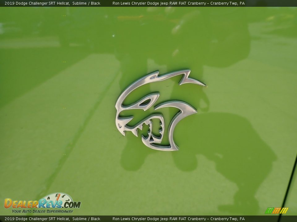 2019 Dodge Challenger SRT Hellcat Logo Photo #10
