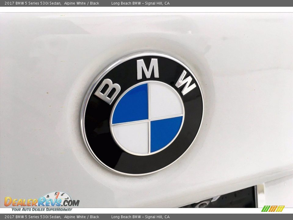 2017 BMW 5 Series 530i Sedan Alpine White / Black Photo #34