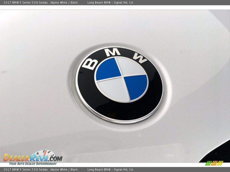 2017 BMW 5 Series 530i Sedan Alpine White / Black Photo #33