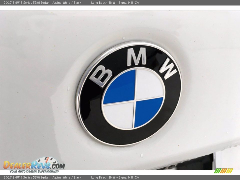2017 BMW 5 Series 530i Sedan Alpine White / Black Photo #34