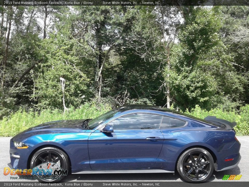 2019 Ford Mustang EcoBoost Fastback Kona Blue / Ebony Photo #1