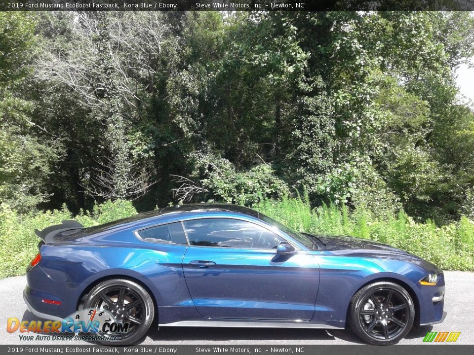 2019 Ford Mustang EcoBoost Fastback Kona Blue / Ebony Photo #5
