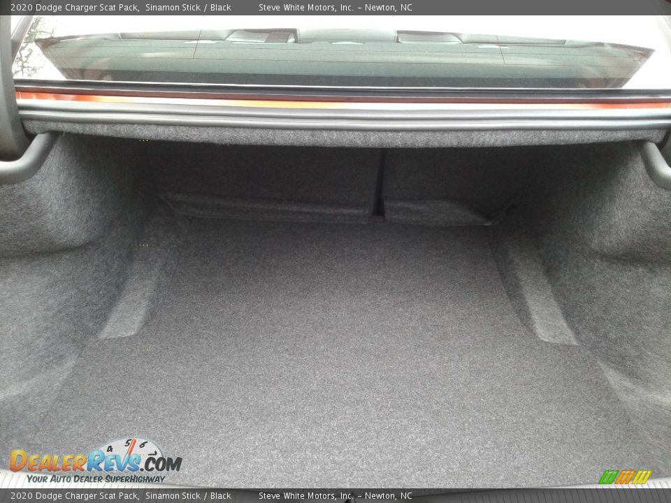 2020 Dodge Charger Scat Pack Sinamon Stick / Black Photo #15