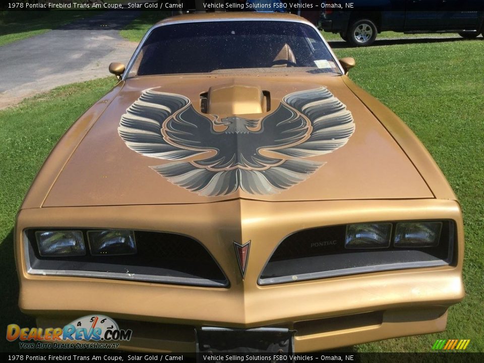 1978 Pontiac Firebird Trans Am Coupe Logo Photo #1