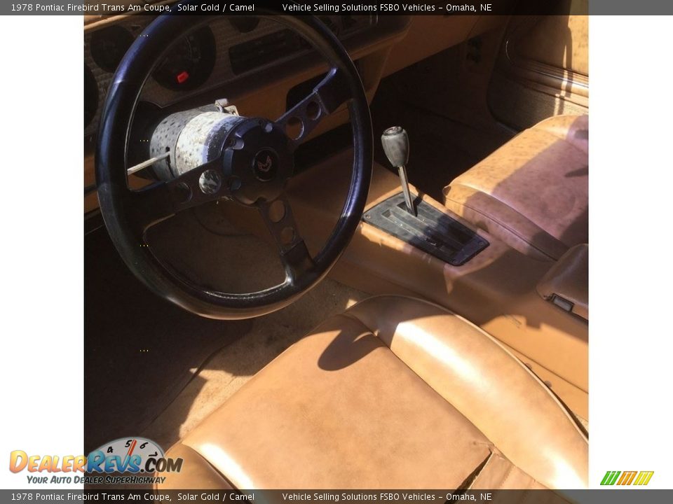 Camel Interior - 1978 Pontiac Firebird Trans Am Coupe Photo #3