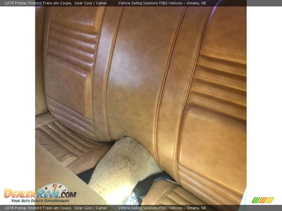 Rear Seat of 1978 Pontiac Firebird Trans Am Coupe Photo #4