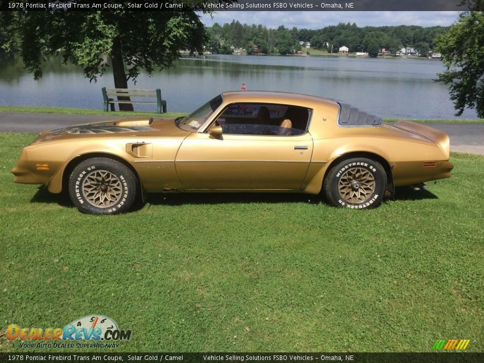 Solar Gold 1978 Pontiac Firebird Trans Am Coupe Photo #5
