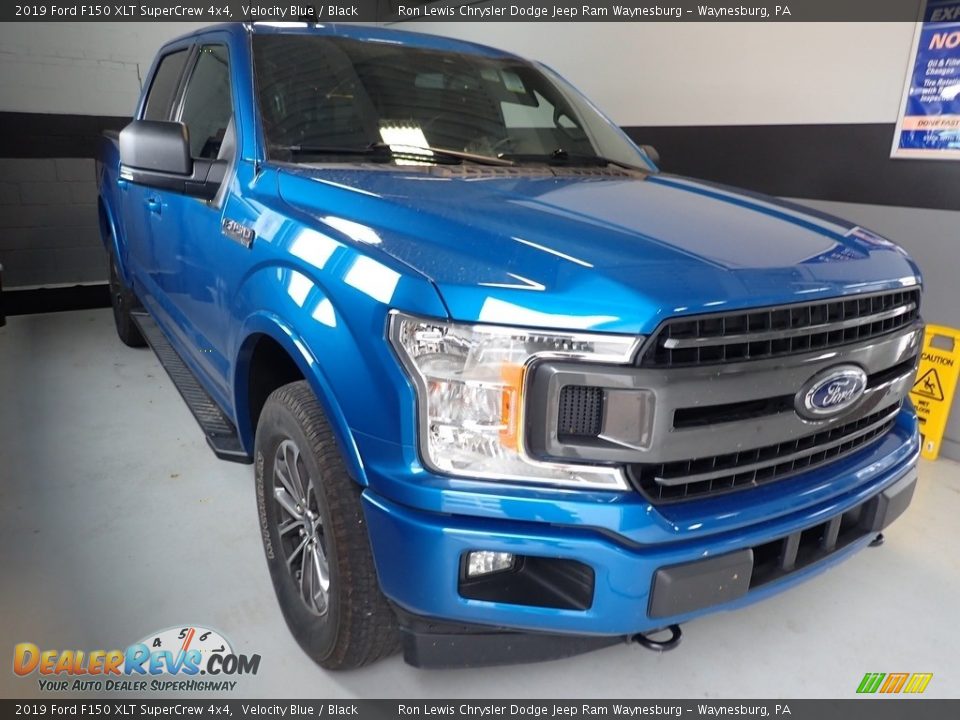 2019 Ford F150 XLT SuperCrew 4x4 Velocity Blue / Black Photo #6