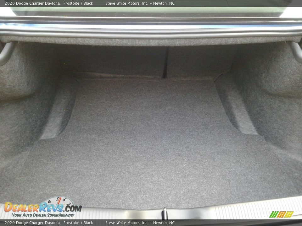 2020 Dodge Charger Daytona Frostbite / Black Photo #15