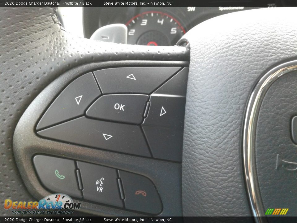 2020 Dodge Charger Daytona Frostbite / Black Photo #19