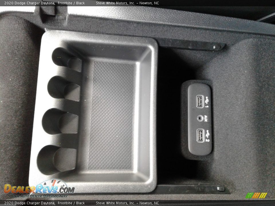 2020 Dodge Charger Daytona Frostbite / Black Photo #27