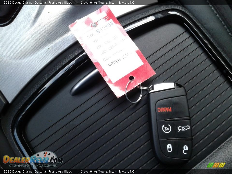 2020 Dodge Charger Daytona Frostbite / Black Photo #29