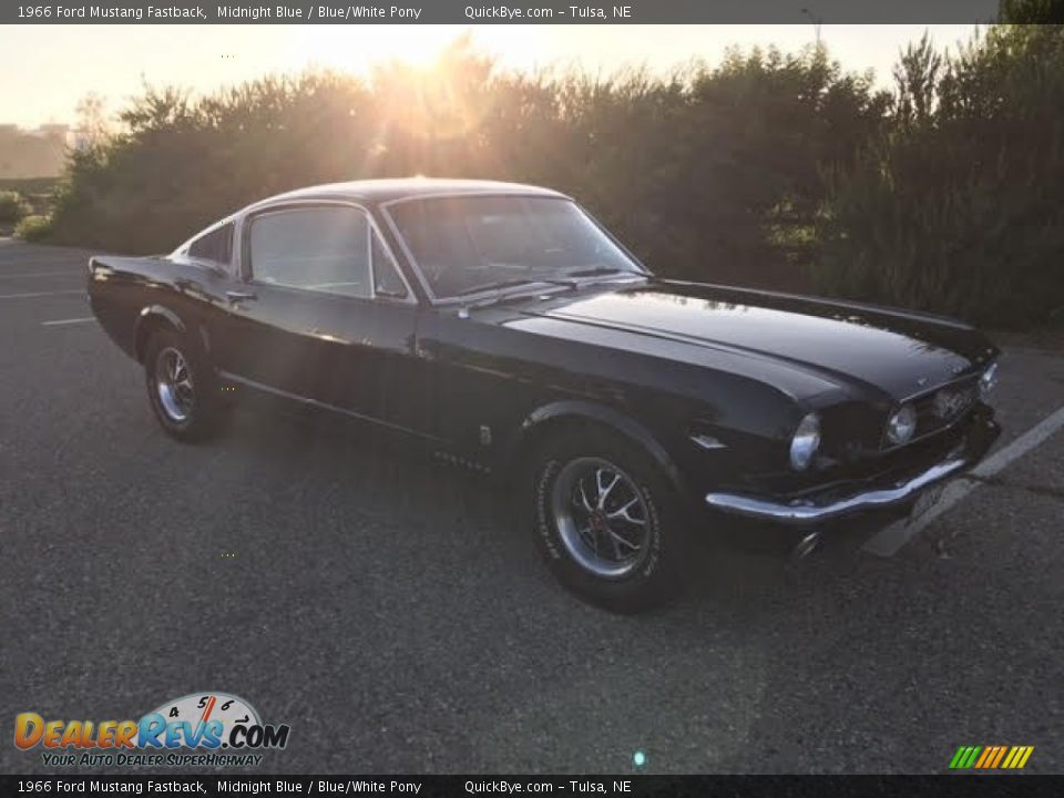 1966 Ford Mustang Fastback Midnight Blue / Blue/White Pony Photo #4