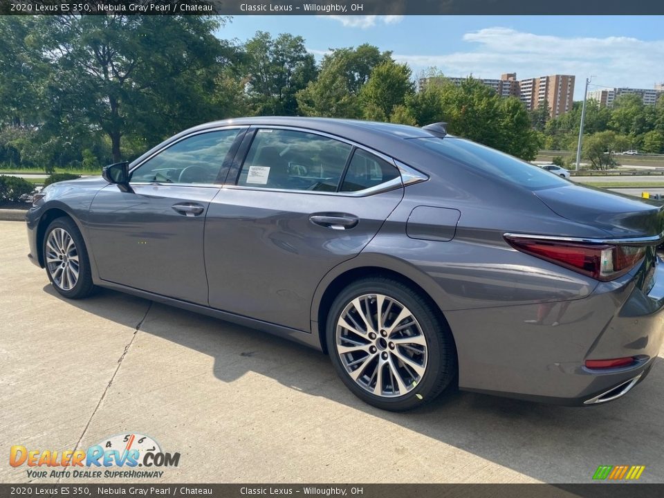 2020 Lexus ES 350 Nebula Gray Pearl / Chateau Photo #4