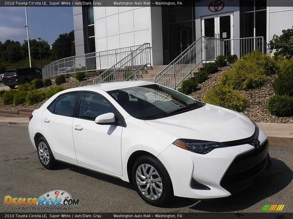 2019 Toyota Corolla LE Super White / Ash/Dark Gray Photo #1