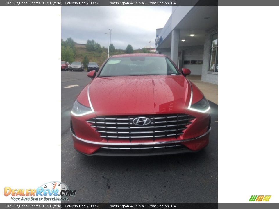 2020 Hyundai Sonata Blue Hybrid Calypso Red / Black Photo #5