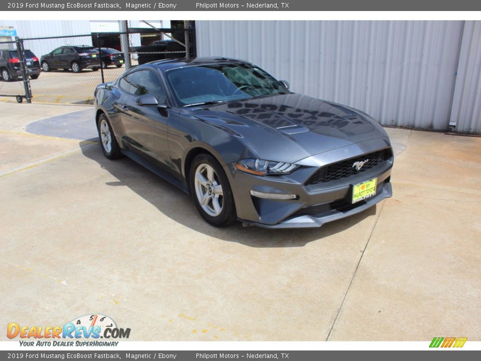 2019 Ford Mustang EcoBoost Fastback Magnetic / Ebony Photo #2