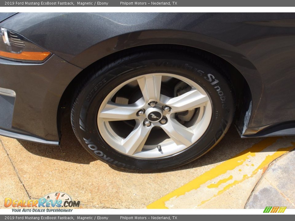 2019 Ford Mustang EcoBoost Fastback Magnetic / Ebony Photo #5