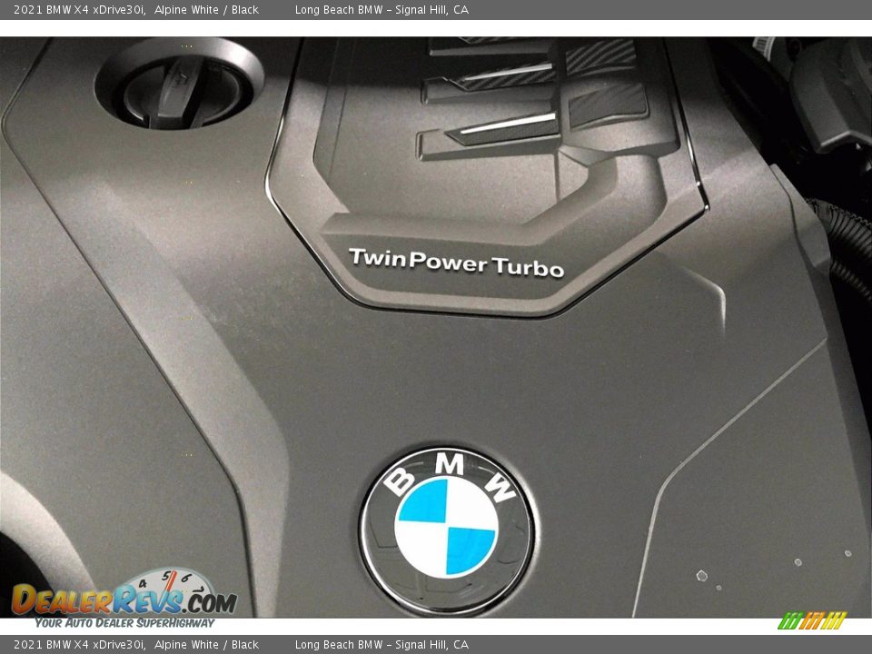 2021 BMW X4 xDrive30i Logo Photo #11