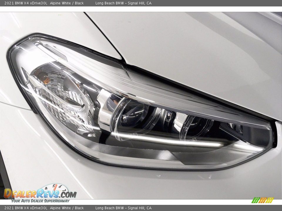 2021 BMW X4 xDrive30i Alpine White / Black Photo #14