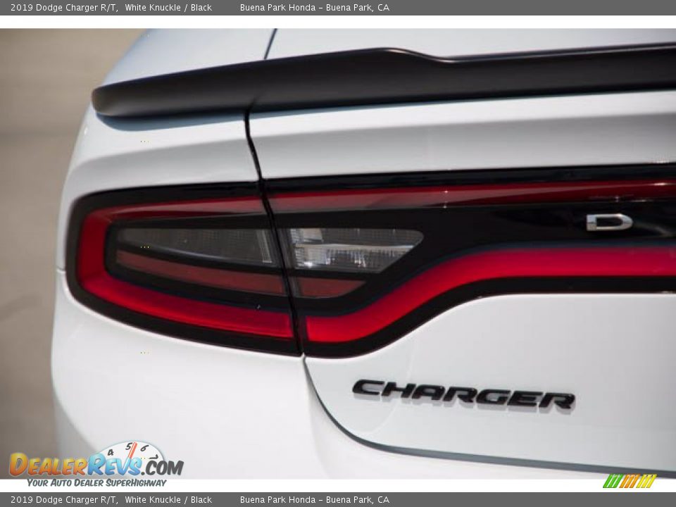 2019 Dodge Charger R/T White Knuckle / Black Photo #10