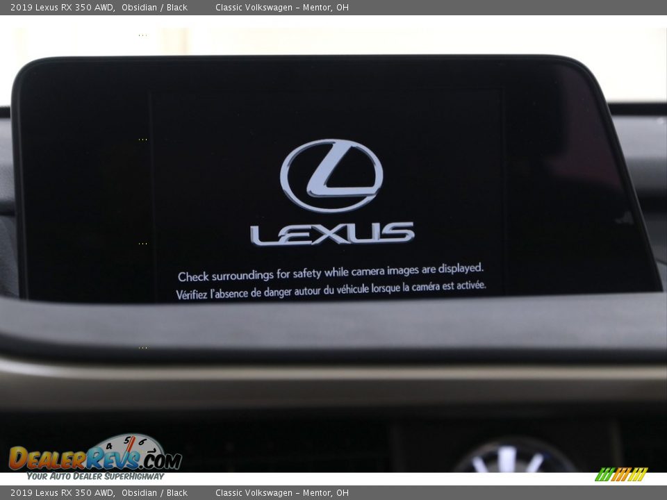 2019 Lexus RX 350 AWD Obsidian / Black Photo #10