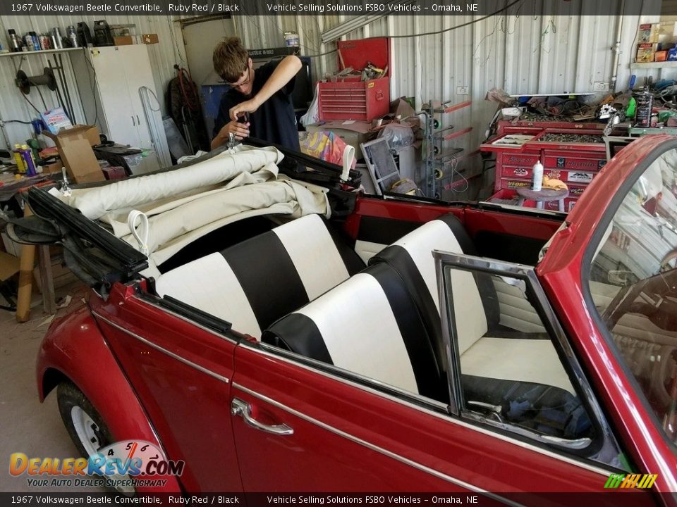 1967 Volkswagen Beetle Convertible Ruby Red / Black Photo #4