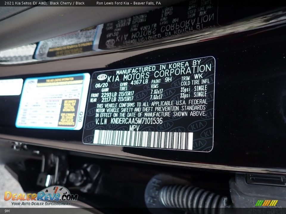 Kia Color Code 9H Black Cherry