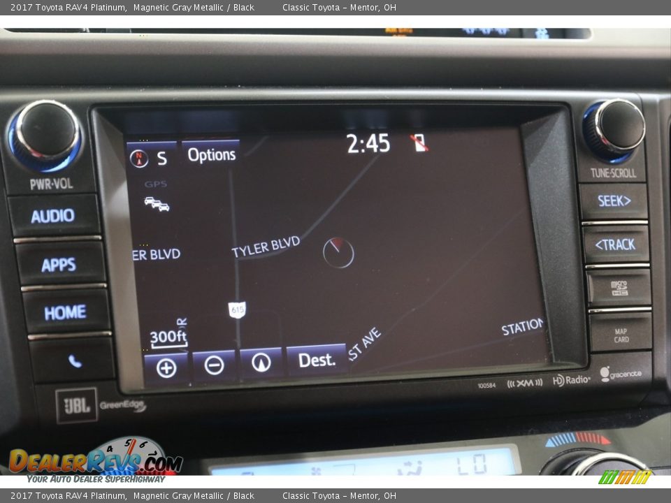 2017 Toyota RAV4 Platinum Magnetic Gray Metallic / Black Photo #10