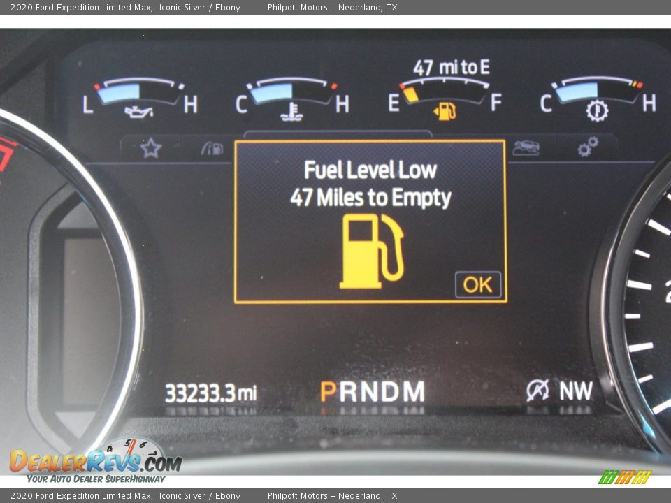 2020 Ford Expedition Limited Max Iconic Silver / Ebony Photo #19