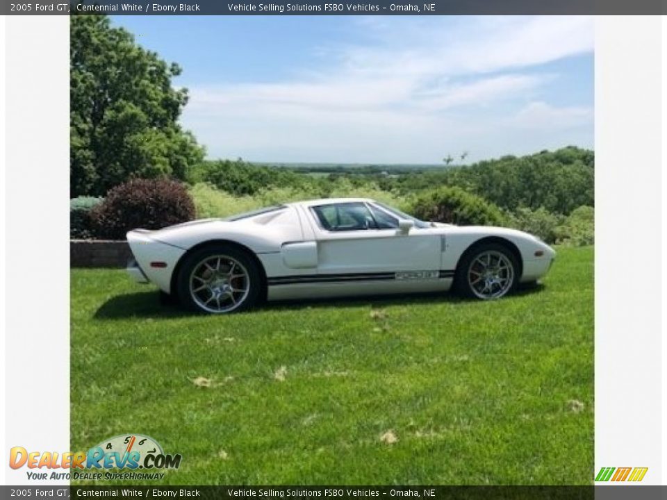 Centennial White 2005 Ford GT  Photo #17