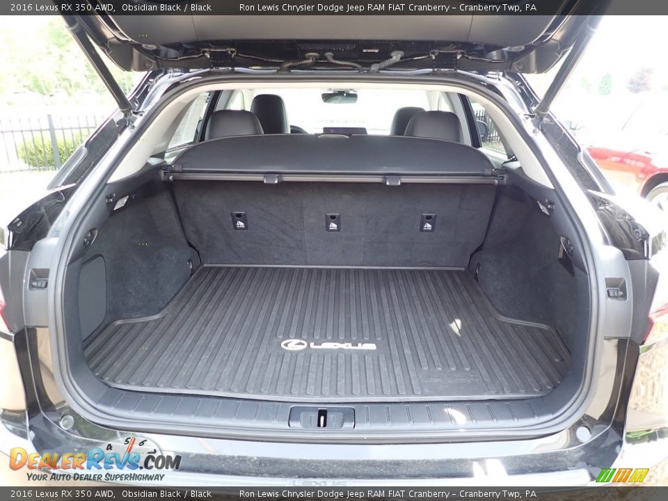 2016 Lexus RX 350 AWD Trunk Photo #6