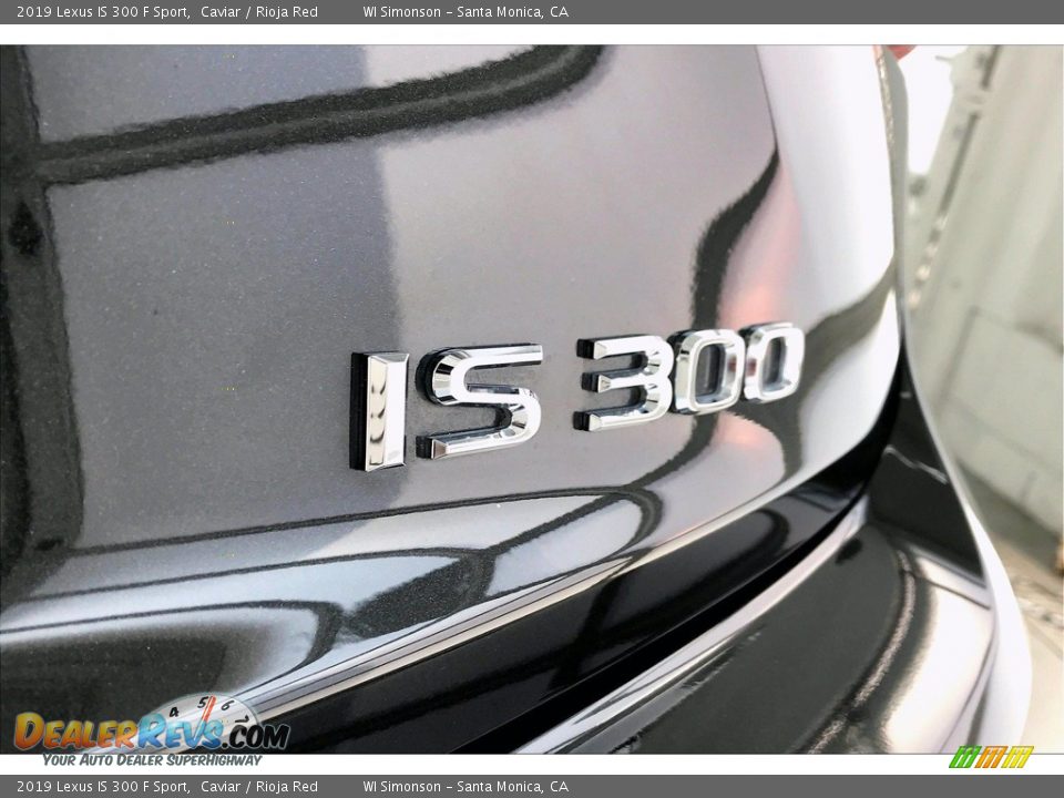 2019 Lexus IS 300 F Sport Logo Photo #7